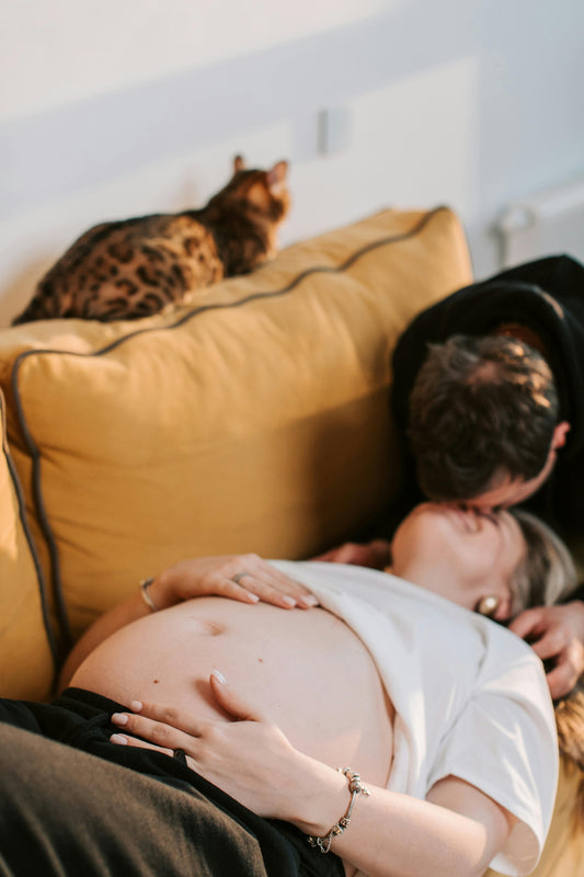 Iron During Pregnancy: Why It’s Crucial and How to Get Enough